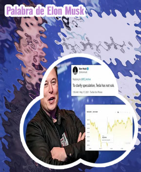 3 btc elon musk