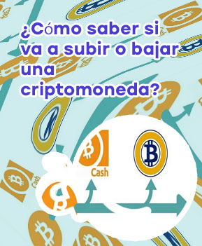 Que criptomonedas estan subiendo