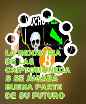 Que ha pasado con las criptomonedas hoy